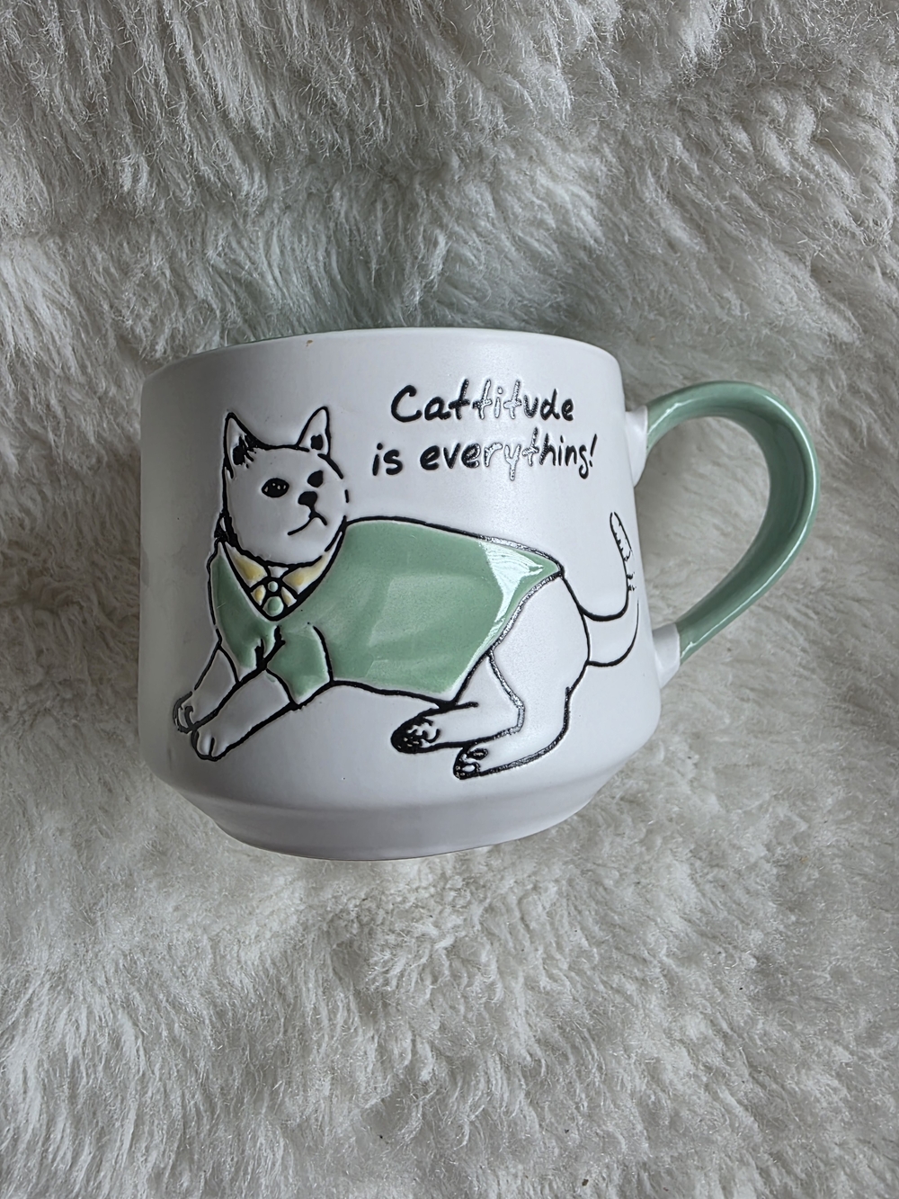 Vintage Cat Quote Ceramic Mug in Mint Green - Charming Cat Design